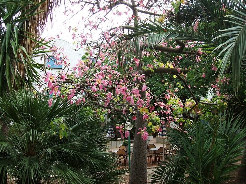 Hotel Azzolini Villagrazia Di Carini ภายนอก รูปภาพ